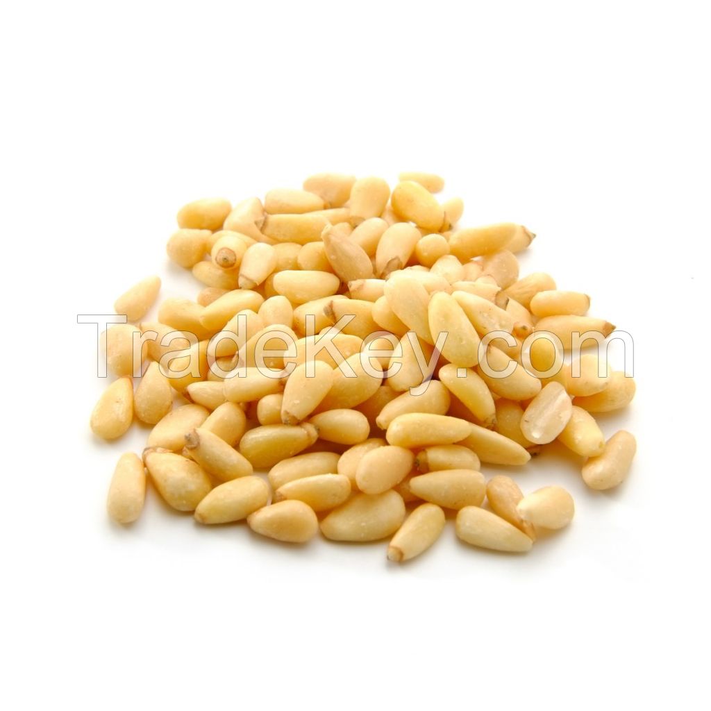 Natural Pine nuts kernels wholesales