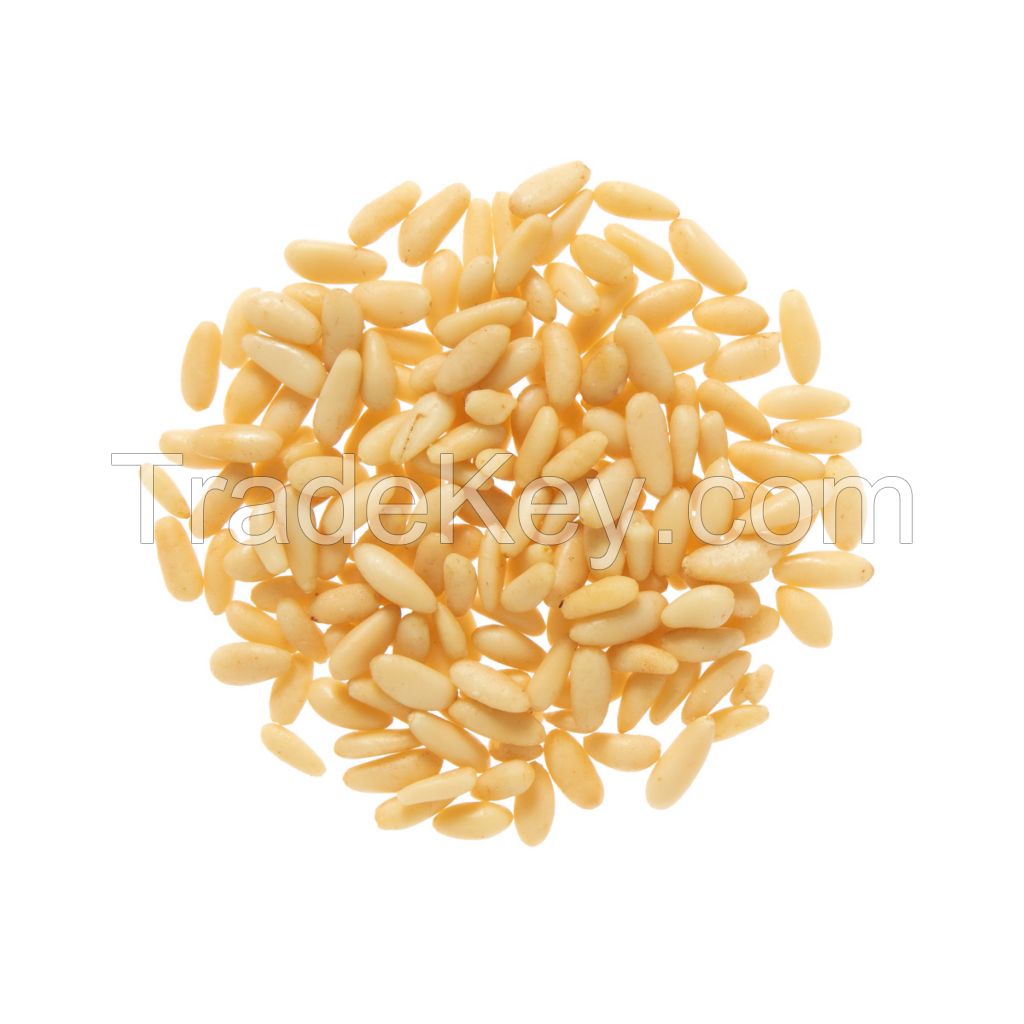Top Quality Pine Nuts Kernels Free Sample Available Pine Nuts