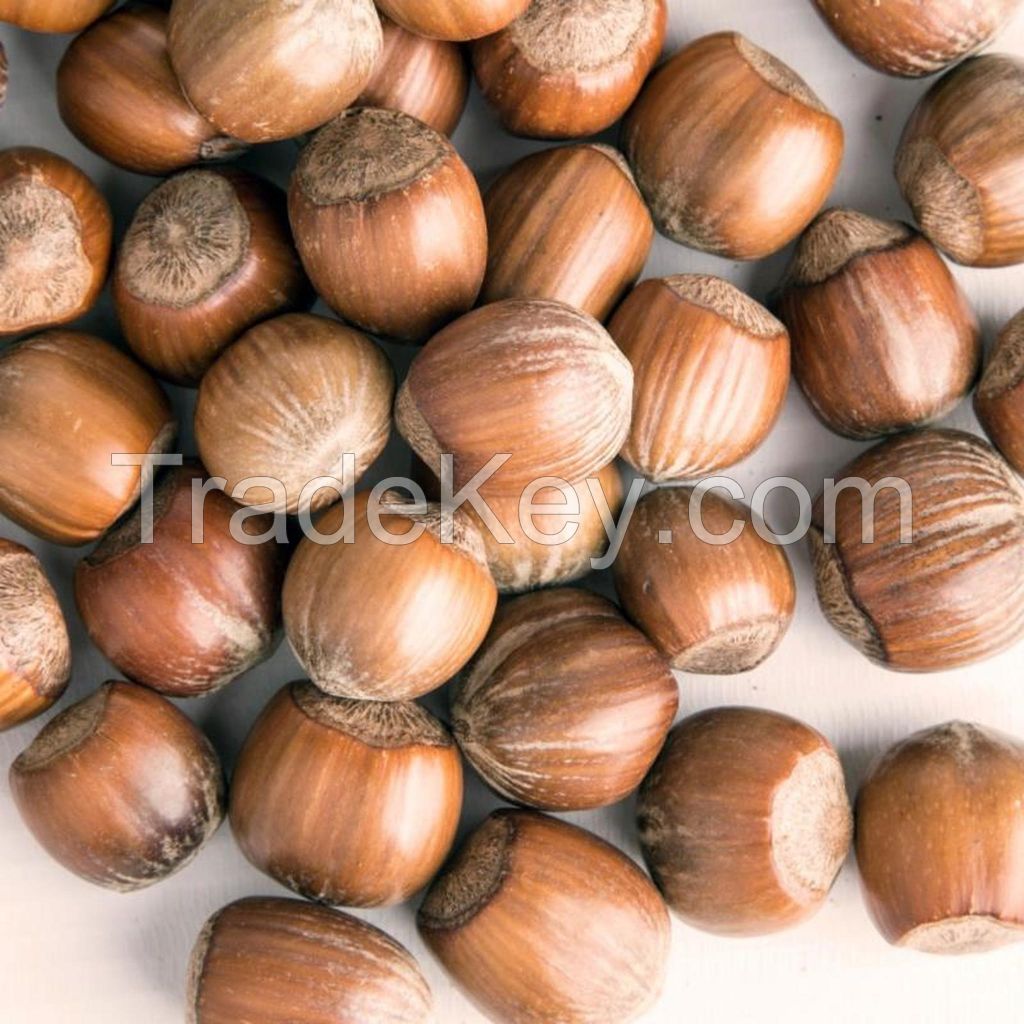 Organic Hazelnut Roasted Orginal High Quality