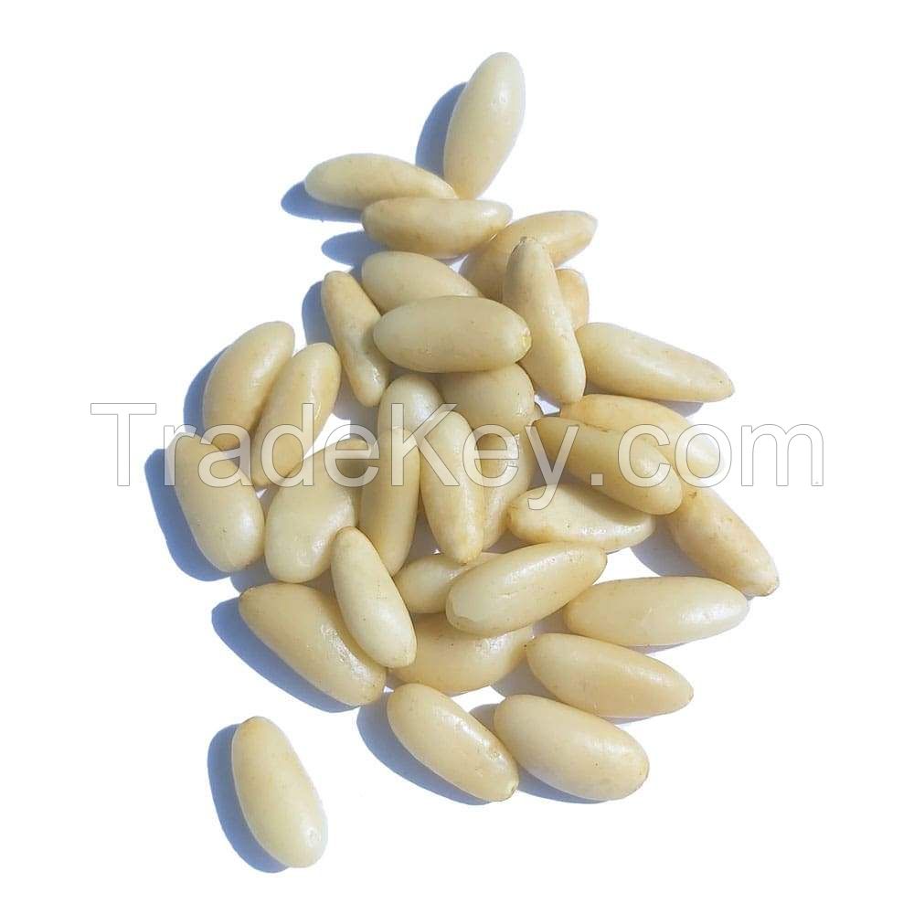 Original pine nuts bulk and small package pine nuts