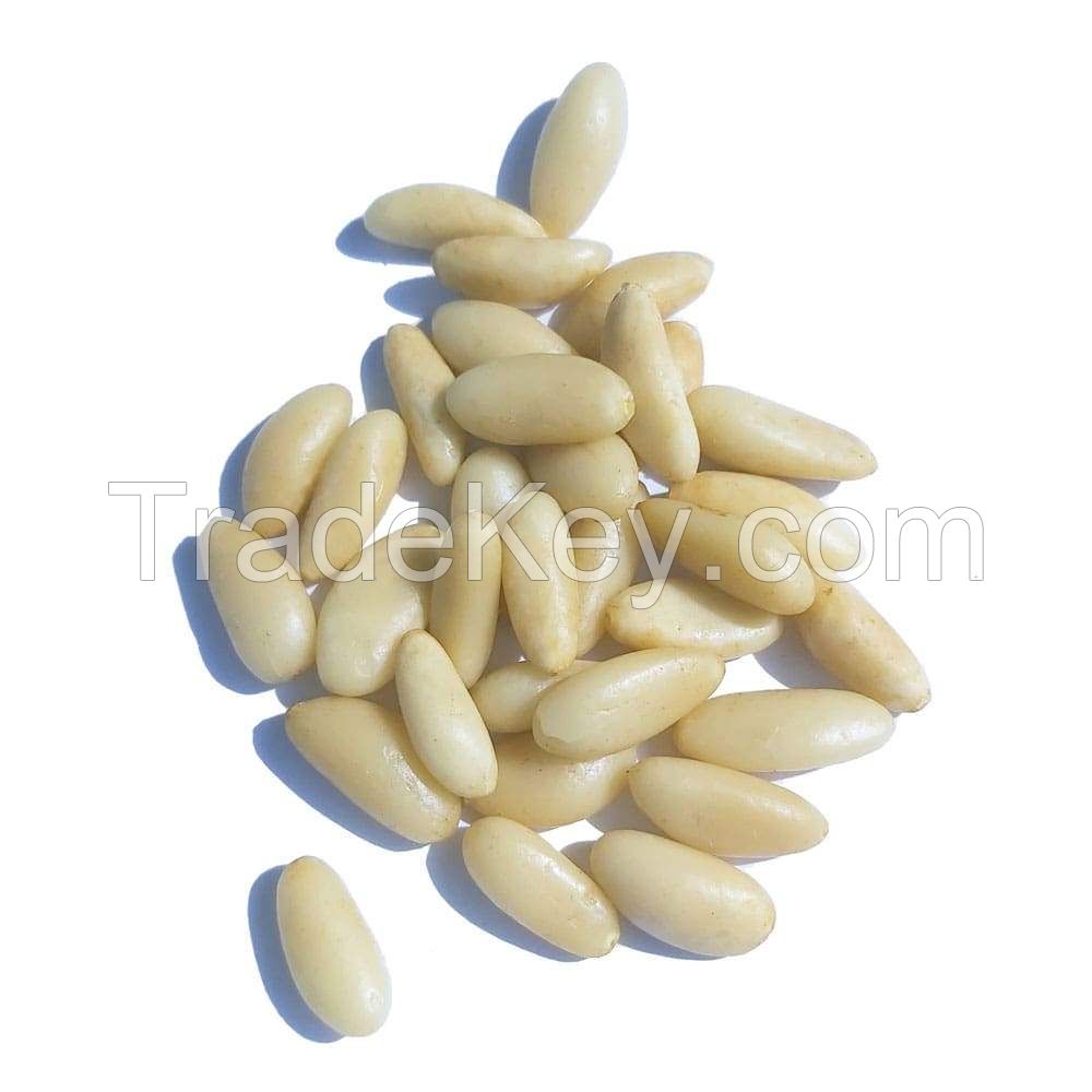Pine Nut Kernels In Vacuum Bags Bulk Top Quality Sustainably Sourced Naturally Produced Raw