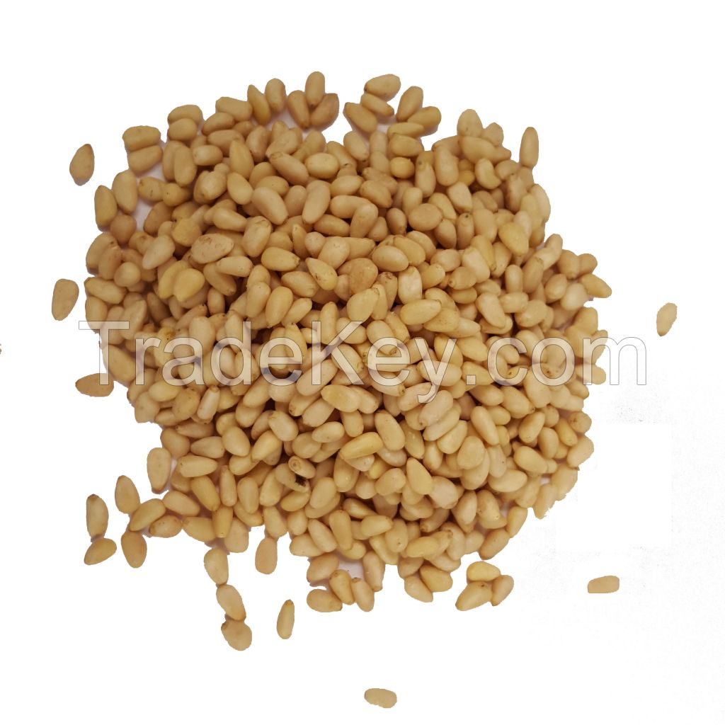 Roasted and Salted Pine Nuts , Pine Nuts in Shell and Pine Nut Kernels