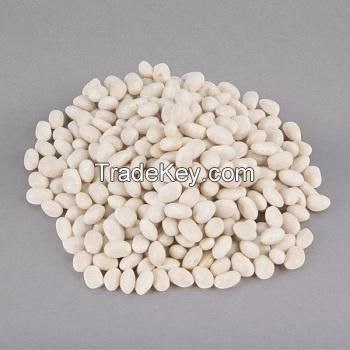 Wholesale White Kidney Beans Large Size White Kidney Beans Export/Quality White Kidney Beans