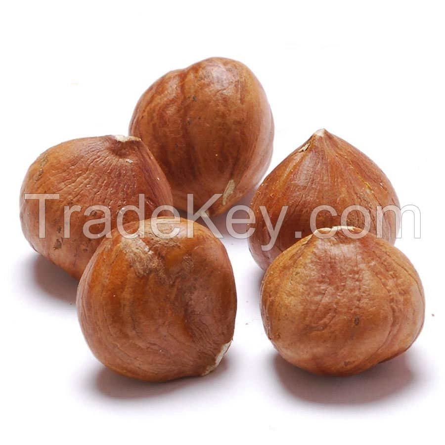 Best Quality Hazelnuts For Sale In Cheap Price