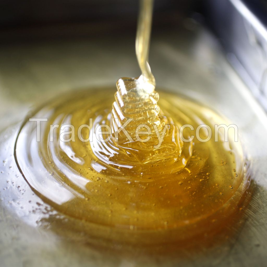 honey pure natural honey product