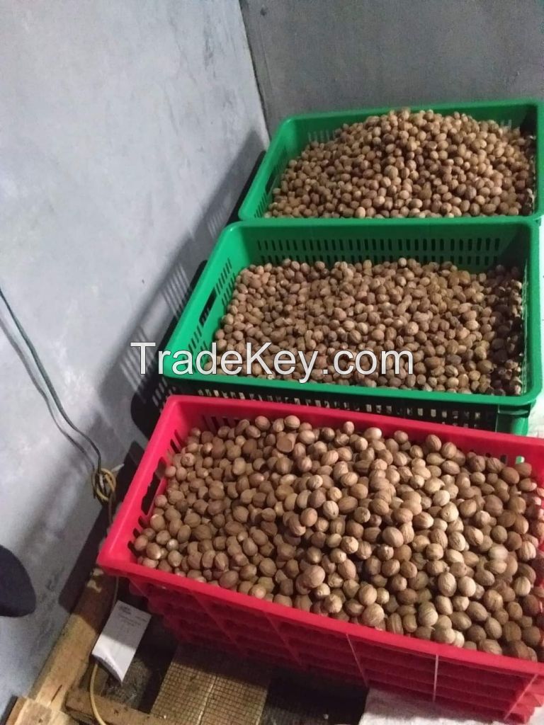   Gourmet Black and White Peppercorns