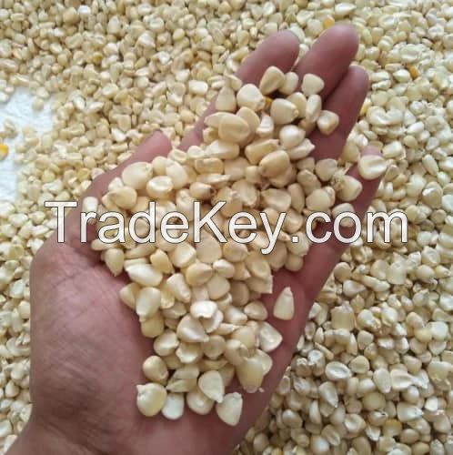 Top Selling Non GMO White Corn & White Corn Air Dried White Maize Corn for Sale