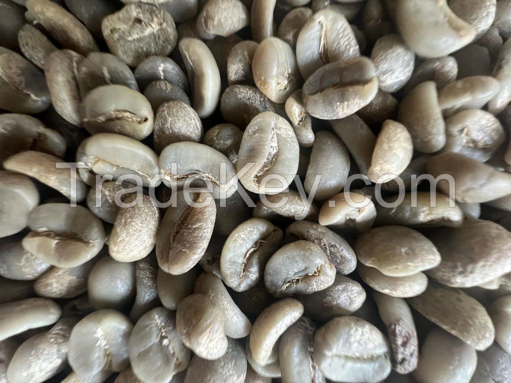 Premium Arabica &amp; Robusta Roasted Coffee Beans with Kosher Certificate