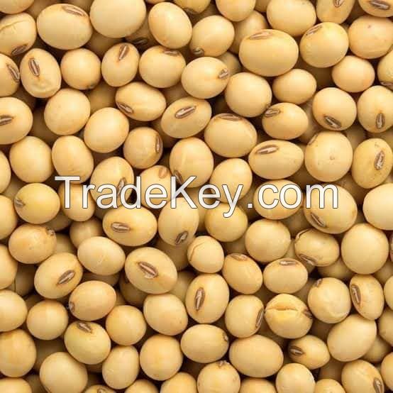 Certified Soybean/soya bean/soja/dried soya bean