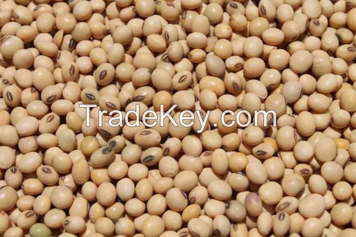 Certified Soybean/soya bean/soja/dried soya bean