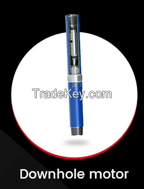 downhole motor