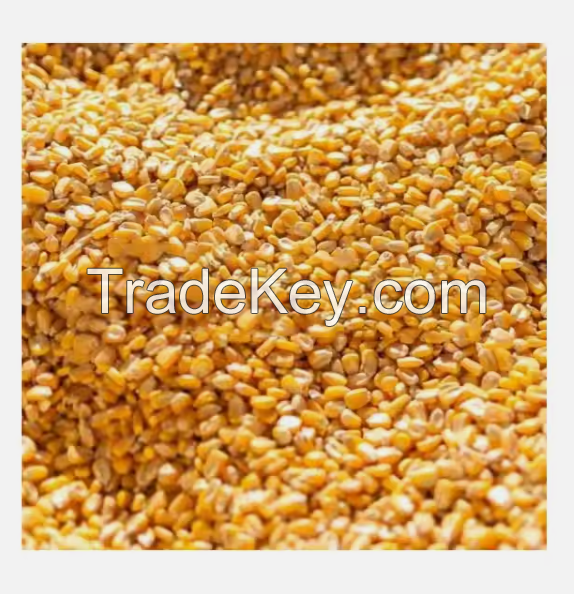 Top Quality Non GMO Yellow Maize for Sale in cheap price