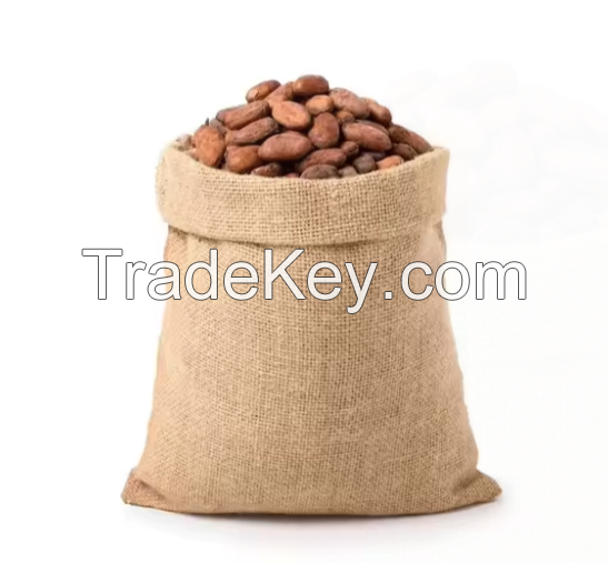 100% Organic Fresh Cocoa Beans In Good Price