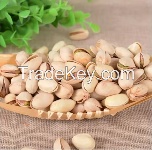 Pistachio Nut Raw With Shell In Cheap Price