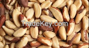 100% High Quality Raw Brazil Nuts For Sale