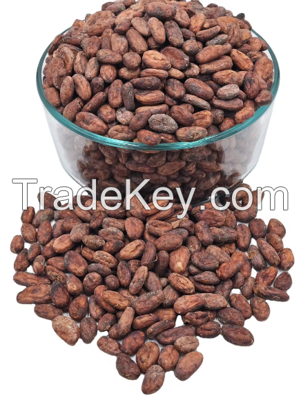 100% Organic Fresh Cocoa Beans In Good Price