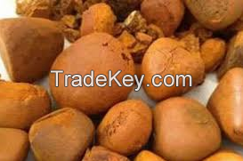 High Quality Cow Gallstone For Animal Extract