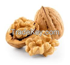 Top Grade Wholesale Walnuts For Sale In Cheap Price