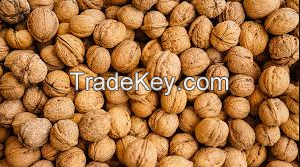 Top Grade Wholesale Walnuts For Sale In Cheap Price