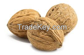 Top Grade Wholesale Walnuts For Sale In Cheap Price