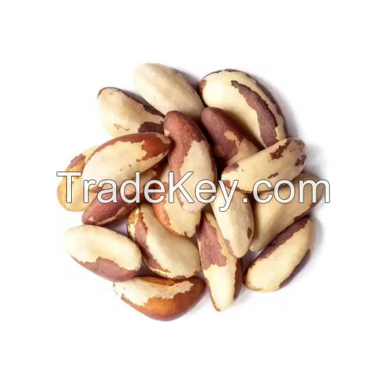 Best Quality Brazil Nuts raw from top exporter