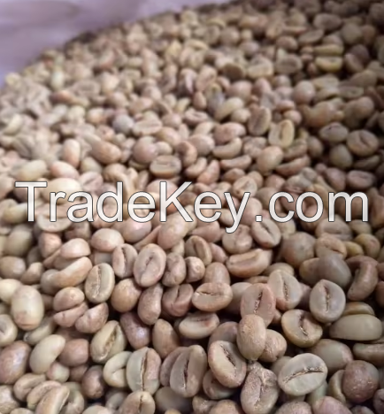 High Quality Robusta Green Coffee Beans Roasted Ground from Netherland