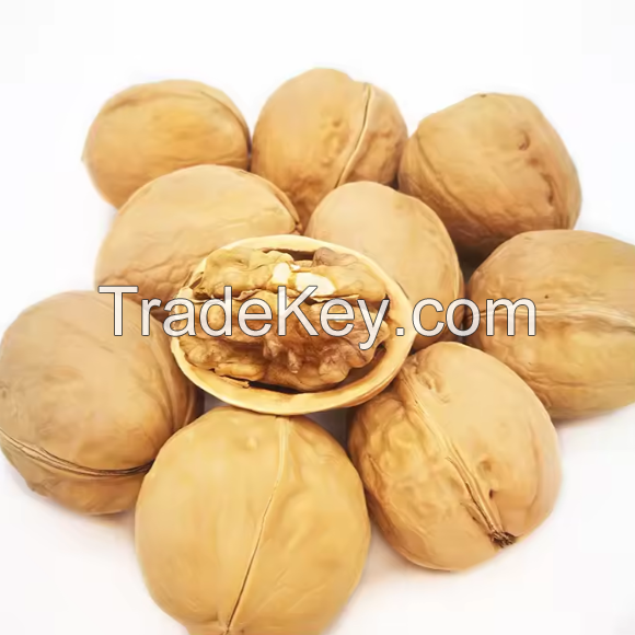 Fresh Walnuts available in premium export quality