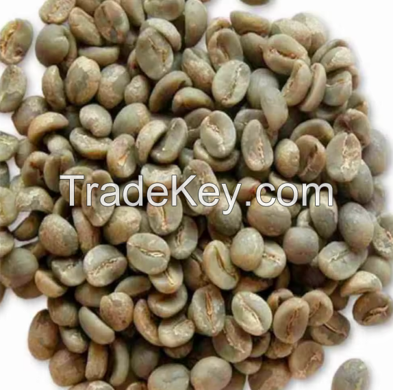 High Quality Robusta Green Coffee Beans Roasted Ground from Netherland