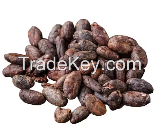 Dried Cocoa Beans For Sale In Cheap Price