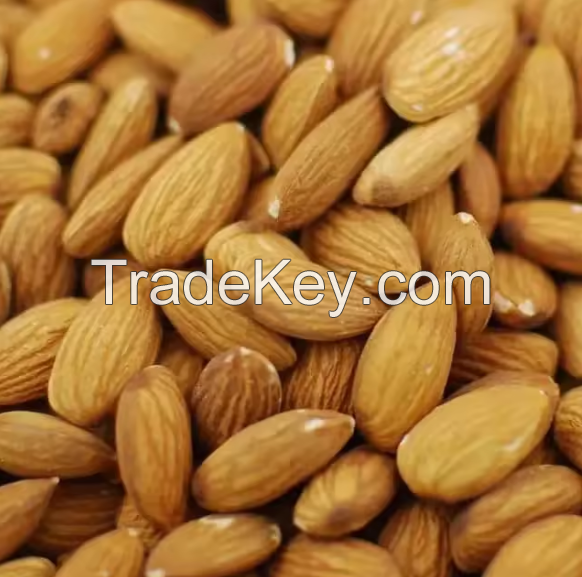 Rich Nutrition 100% Organic Natural Delicious Almond Nuts