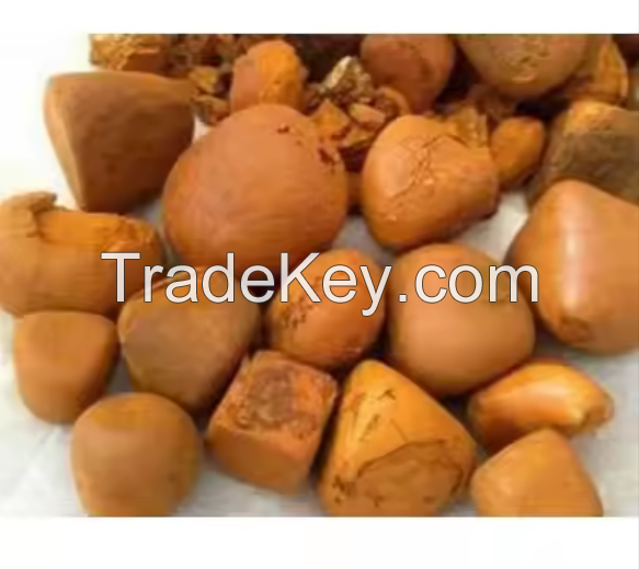 Cow Gall Stones Ox Gallstones Animal Extract