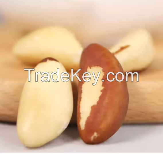 Best Quality Brazil Nuts raw from top exporter