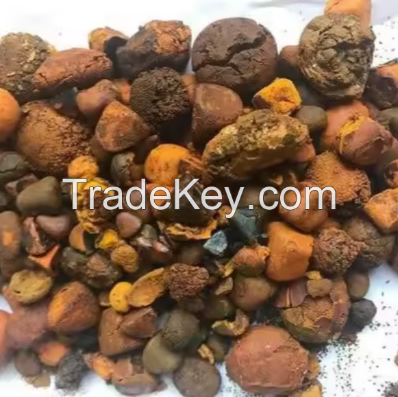 High Quality Cow Gallstone For Animal Extract