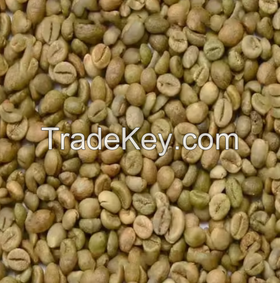 High Quality Robusta Green Coffee Beans Roasted Ground from Netherland