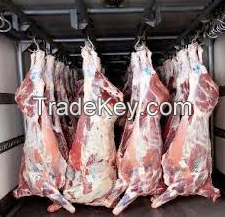 Wholesale Beef meat in Cheap Price