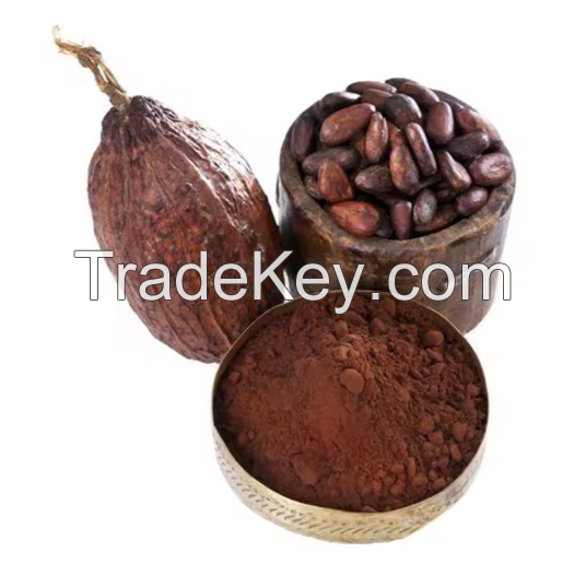 Dried Cocoa Beans For Sale In Cheap Price