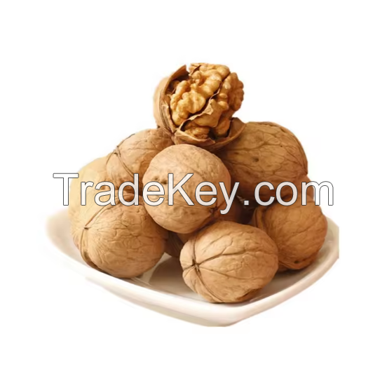 Fresh Walnuts available in premium export quality