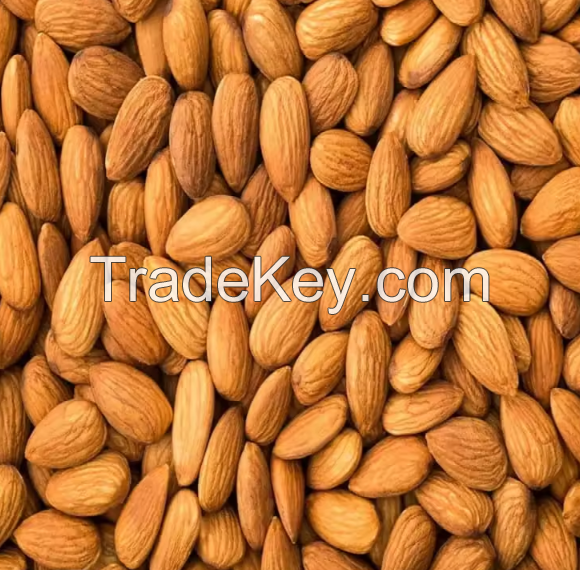 Rich Nutrition 100% Organic Natural Delicious Almond Nuts