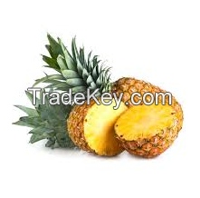 FRESH PINEAPPLE 100% Natural With HIGH QUALITY & BEST PRICE