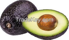 Quality Wholesaler Hass Avocado good Quality Fresh green avocado