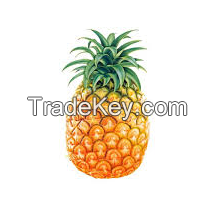 FRESH PINEAPPLE 100% Natural With HIGH QUALITY & BEST PRICE