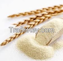 Samolina Flour High Grade Corn Flour Durum Wheat Flour