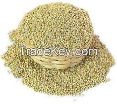 100% Pure And Natural Millet For Sale