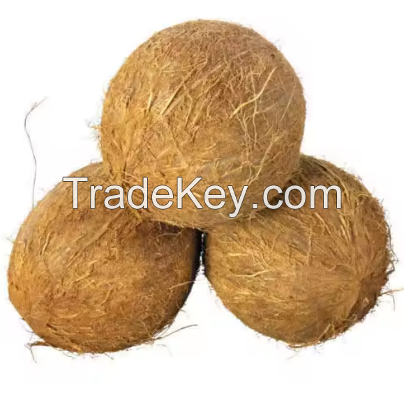 Quality Dried And Fresh coconuts Available