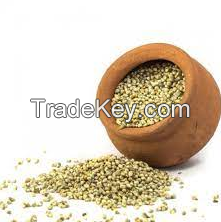 100% Pure And Natural Millet For Sale