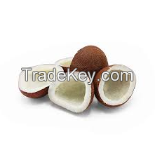 High Quality Dried Coconuts Available In Best Price