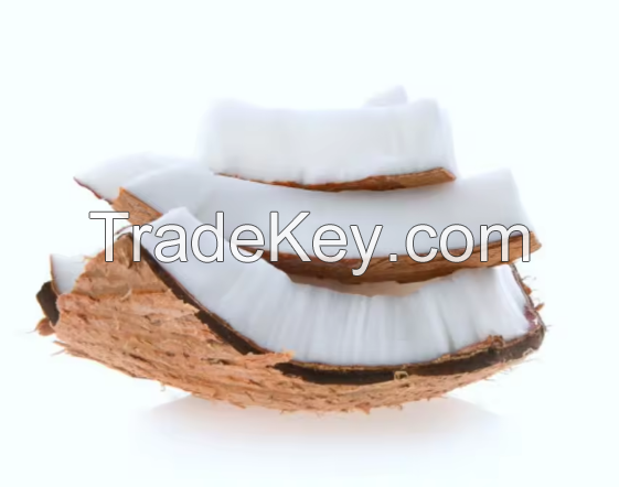 FROZEN COCONUT MEAT/ YOUNG COCONUT MEAT