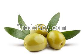 100% Fresh OLIVES In Wholesale Best Price