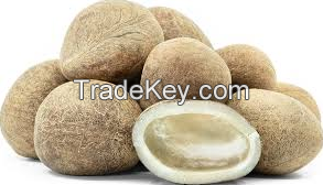 High Quality Dried Coconuts Available In Best Price