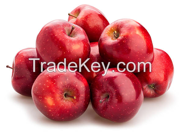 High Quality Fresh Red Apples For Sale